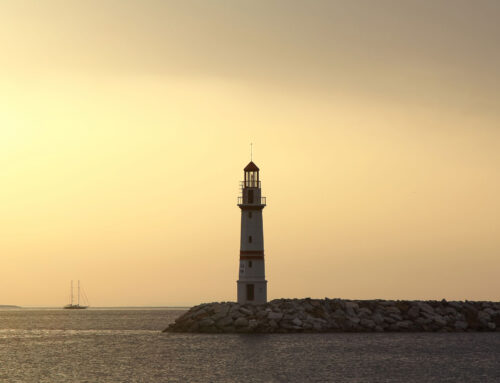 MAAM Research Meeting November 20, 2025