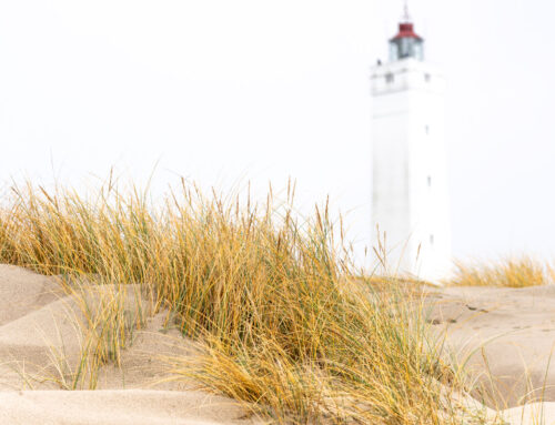 The Weekly Beacon September 19, 2025